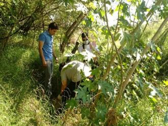 Corpo de mulher morta a pauladas é encontrado em fundo de vale