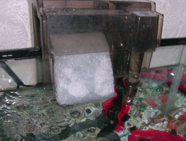 外掛け式フィルターの特徴と使い方 簡単な改造や工夫で濾過強化も