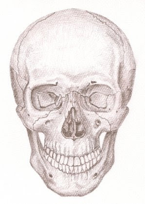 diamond encrusted skull