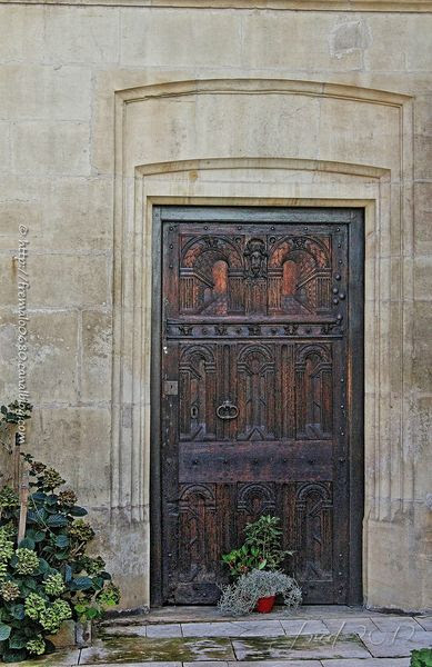 IMG_6742-1-signée