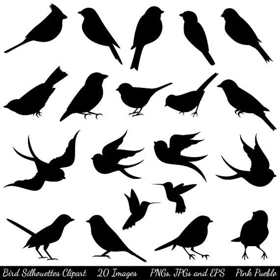 Download Free Bird Print Cliparts, Download Free Clip Art, Free ...