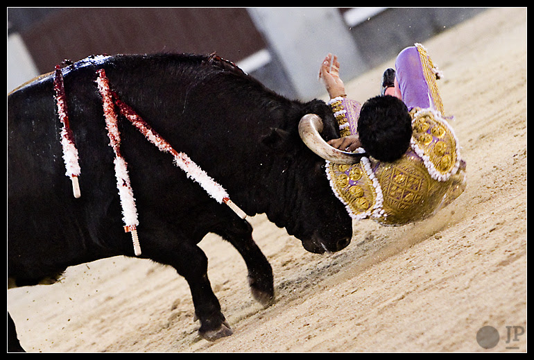 sergio-flores-17