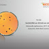 Salmonella On Ss Agar / Remel Salmonella Shigella Agar - • selective and differentiating medium for the isolation of salmonellae and shigellae.