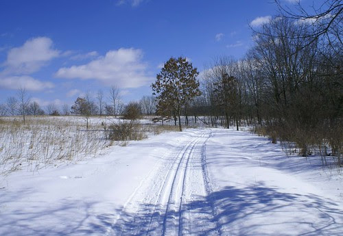 february 07 273