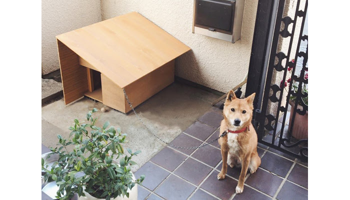 大工の手 犬小屋 届けられる大工の手 わざわ座 デザイン ものづくりのプラットフォーム