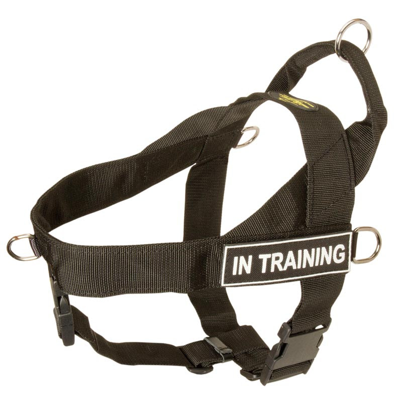 Nylon Rottweiler Harness for Training, Pulling, Tracking ...