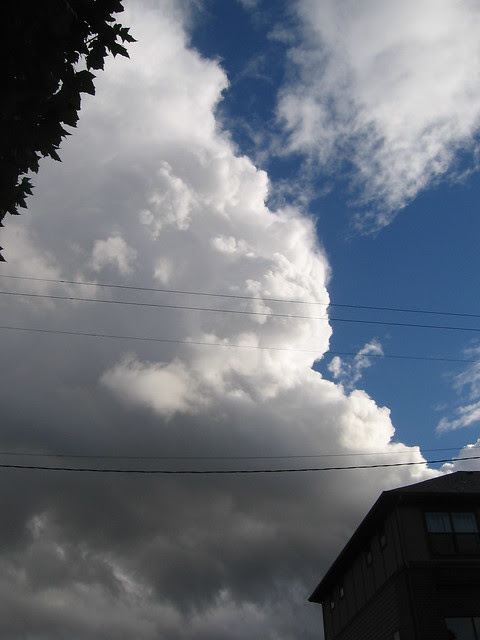 stormy weather