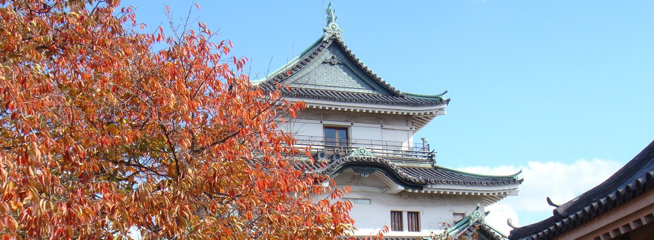 トップ 史跡和歌山城