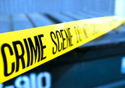 Image result for crime genre
