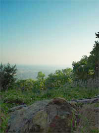 Final image