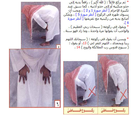 اضغط على الصورة لفتحها بصفحة مستقلة