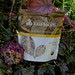 Buckwheat granola from iHerb