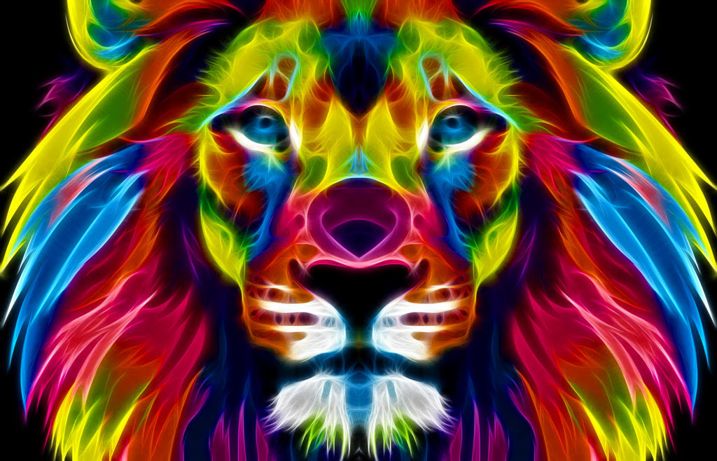 Colorful Lion Wallpaper WallpaperSafari