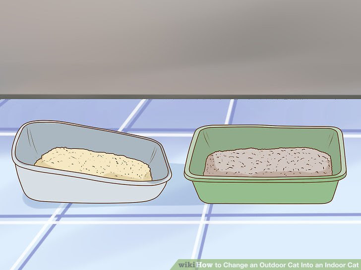 Change an Outdoor Cat Into an Indoor Cat Step 6.jpg