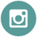  instagramicon