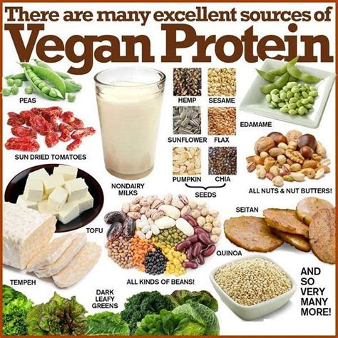 athlete climate vegan climate vegan