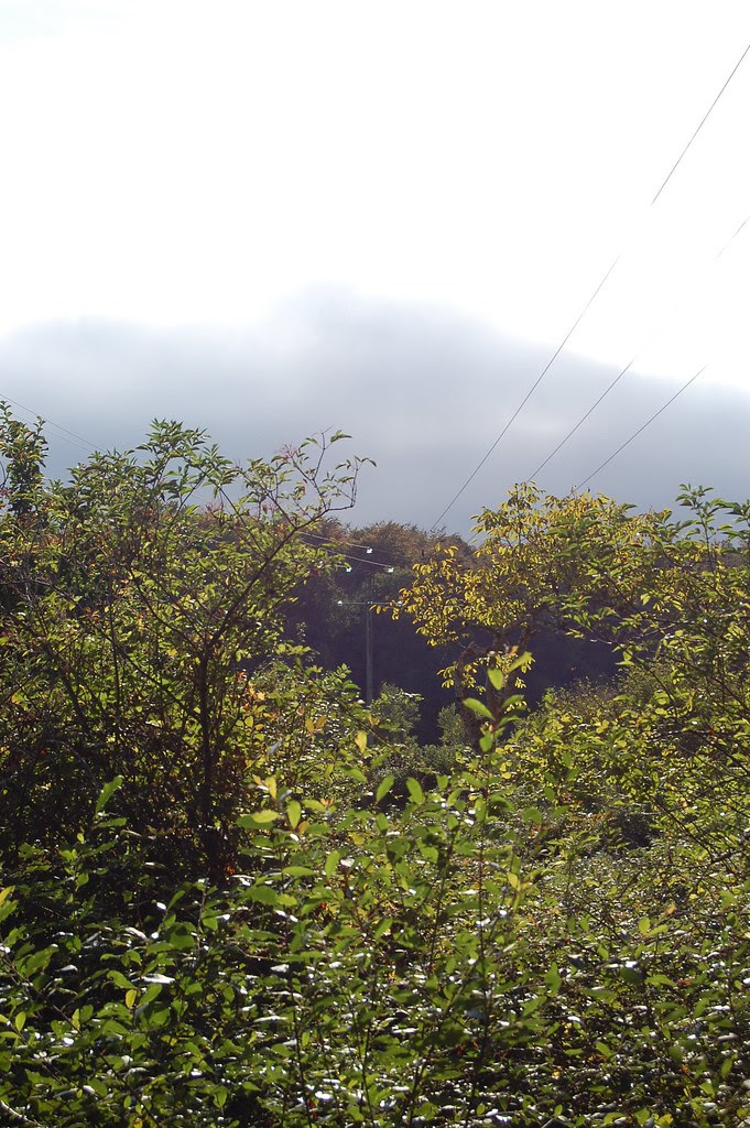 wires