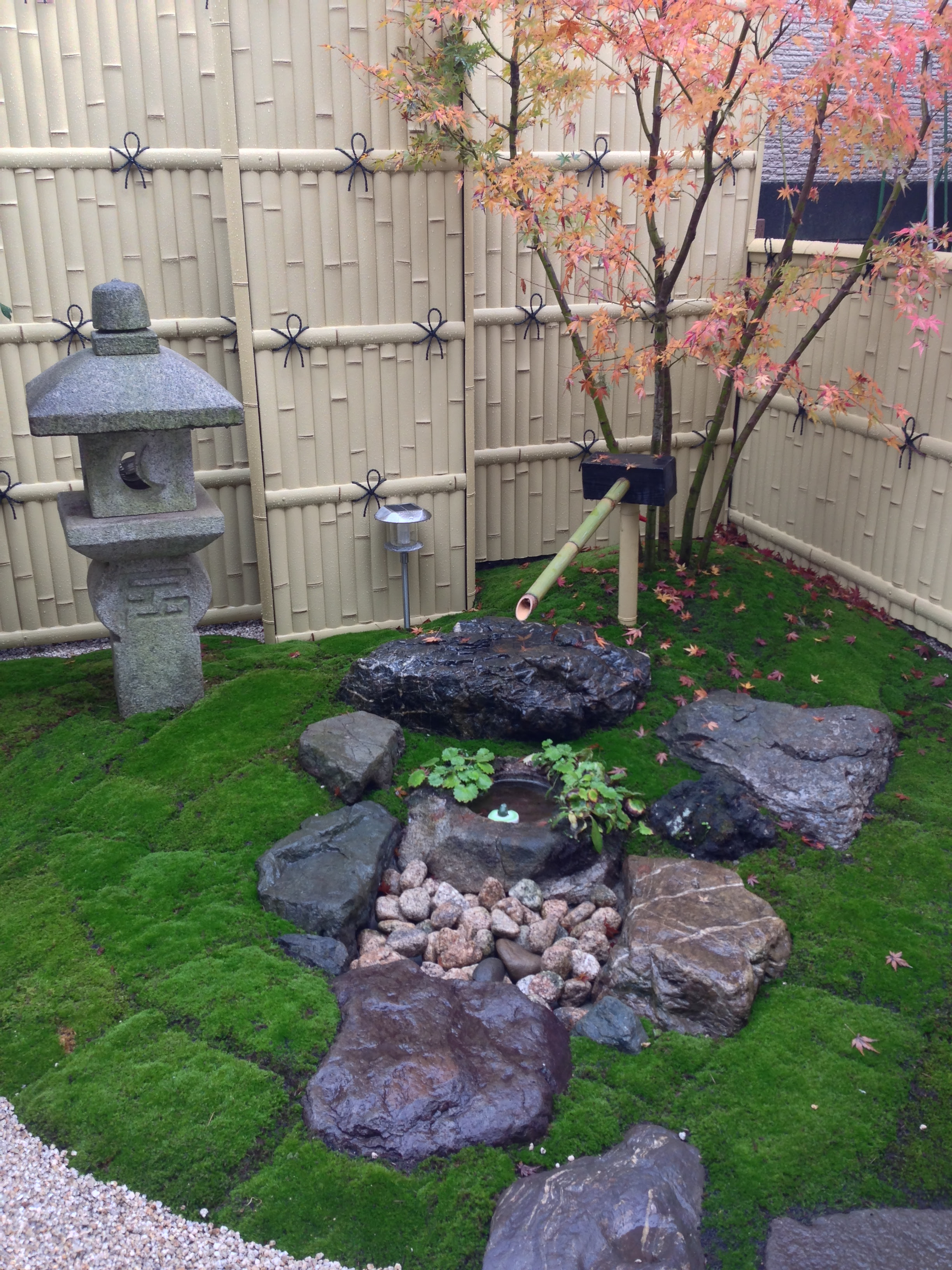 苔庭 造園 外構 エクステリア 施工事例 施工事例 井上農園 相模原のお庭の手入れ 造園 観葉植物レンタル販売業者