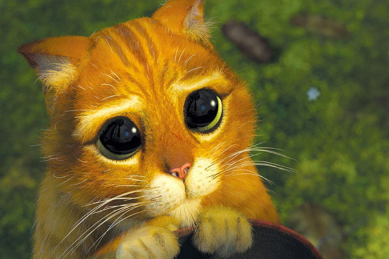 Avant sa rencontre avec Shrek le Chat Potté a eu une jeunesse pleine de surprises Découvre l histoire du plus félin des aventuriers gr¢ce au kit