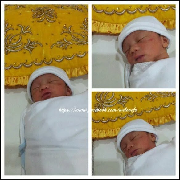 nora danish fasha