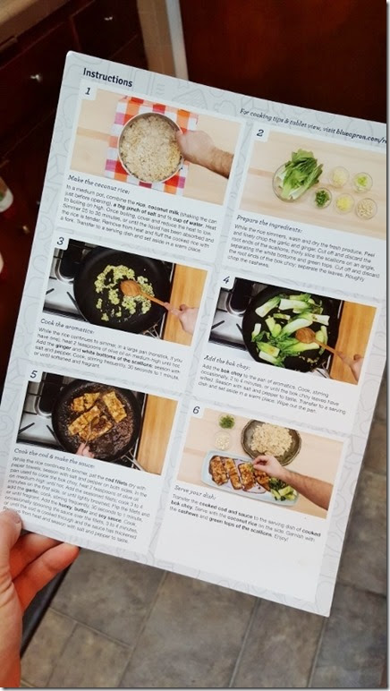 blue apron dicount and review 13 (450x800)