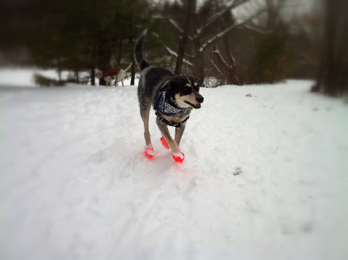 trail blazing