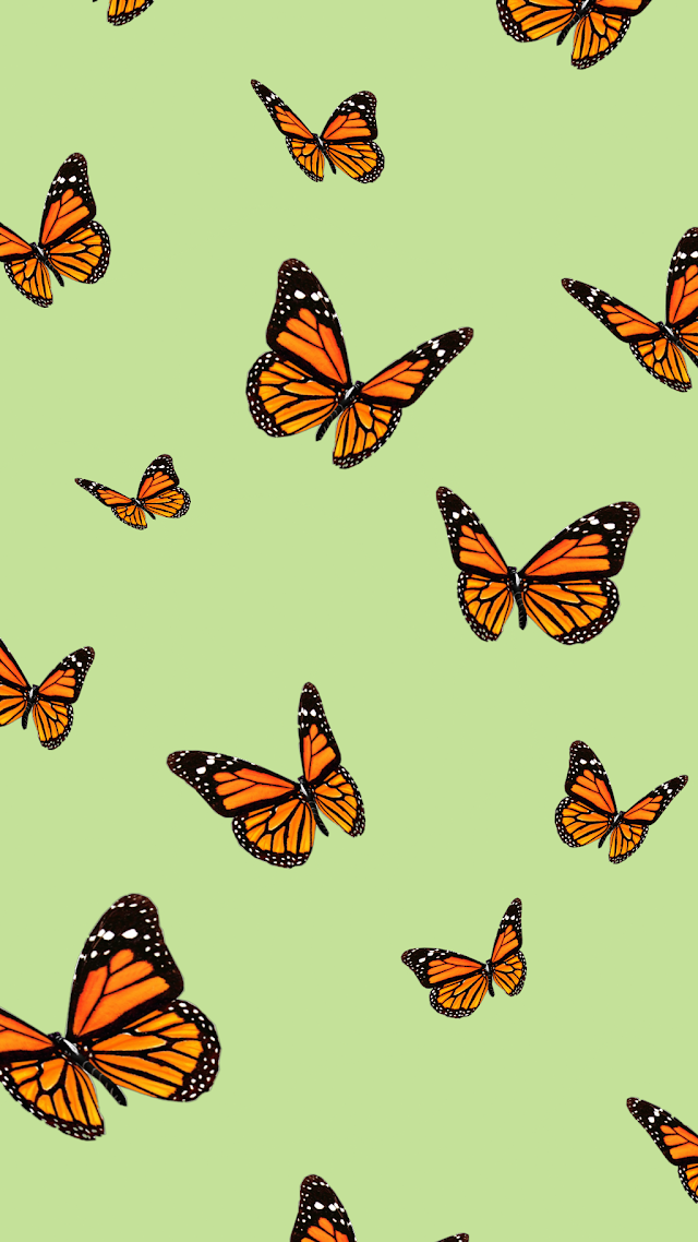 Aesthetic Butterfly Wallpaper For Iphone