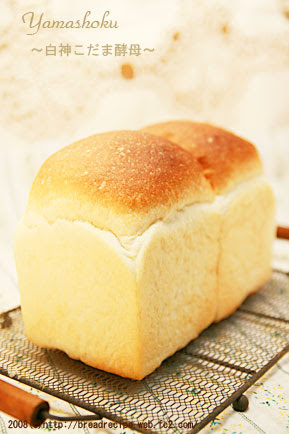 手作りパン 白神こだま酵母 パンcafe日和