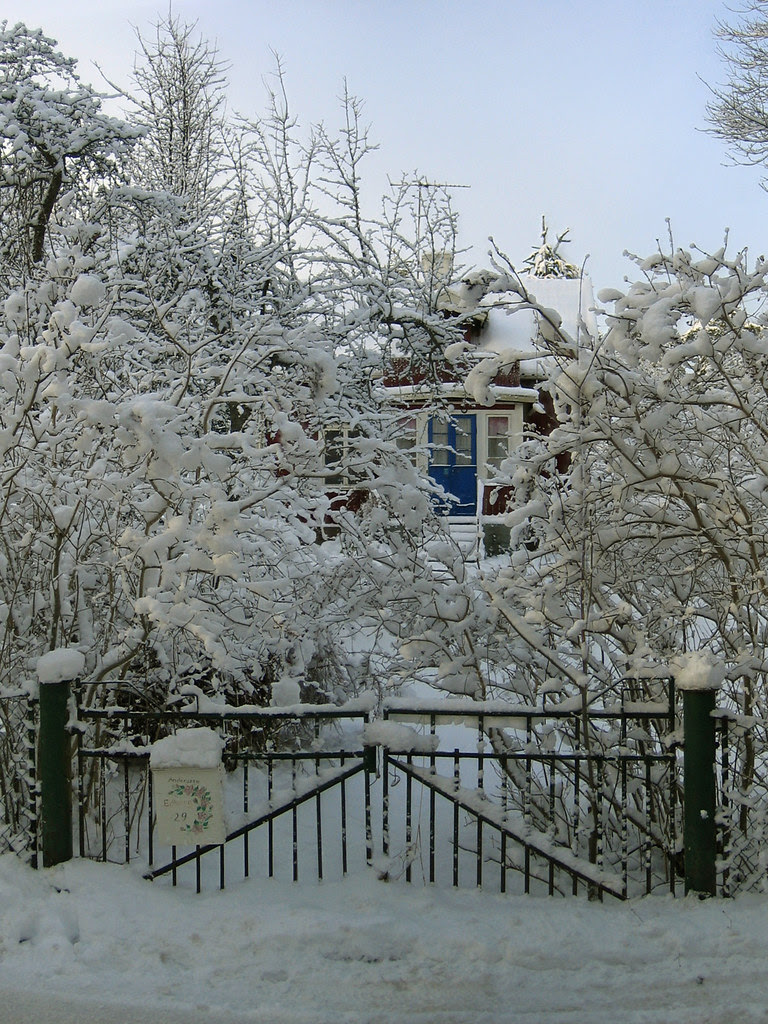 Winter Gate