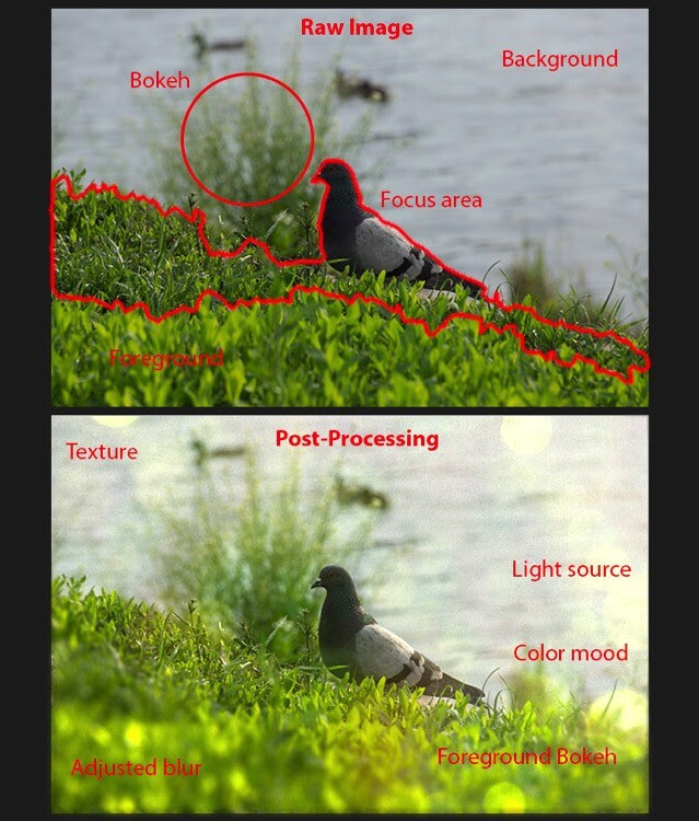 How to Create Realistic Bokeh and Blur Effects using Photoshop