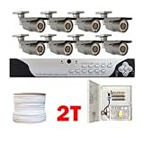Complete Professional 8 Channel Real Time H.264 DVR CCTV Outdoor Security Camera Surveillance System Package with 8 Pack 1/3' Exview HAD CCD II with Effio-E DSP Devices, 700 TV lines, 2.8~12mm Varifocal Lens, 42pcs IR LED, 115 ft IR Distance Outdoor Cameras