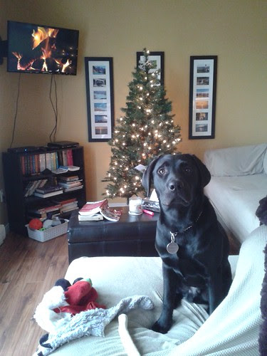 Waiting for Christmas