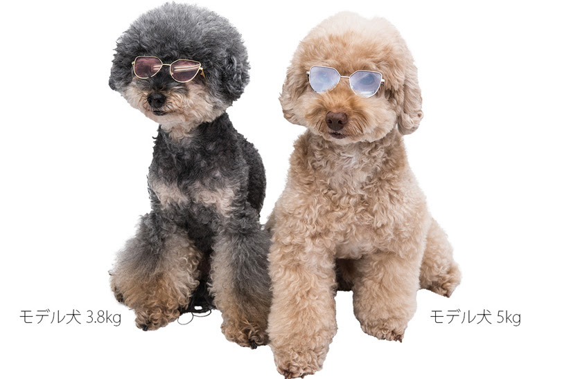 犬用サングラスの効果は 犬の紫外線対策が必要な理由