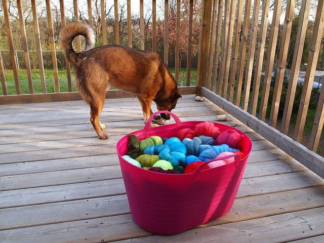 ready for Tour de Fleece 2012