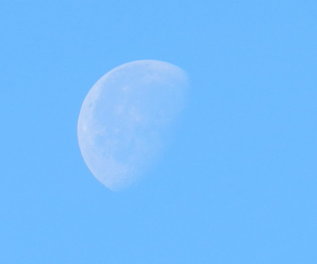 skywatchDSCN9323