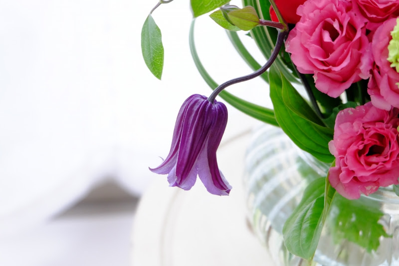 クレマチス 花を楽しむブログ