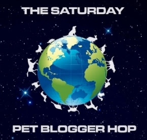 Saturday Pet Blogger Hop