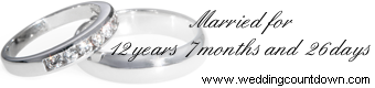 wedding tickers