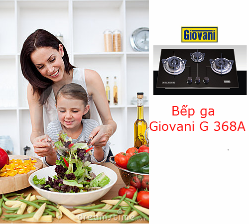 Lý do bạn nên sử dụng bếp ga Giovani G 368A