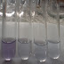 Hopkins Cole Test / biuret test | chimmeral - The indole ring reacts with glyoxylic acid in the presence of a strong acid to form a violet cyclic product.