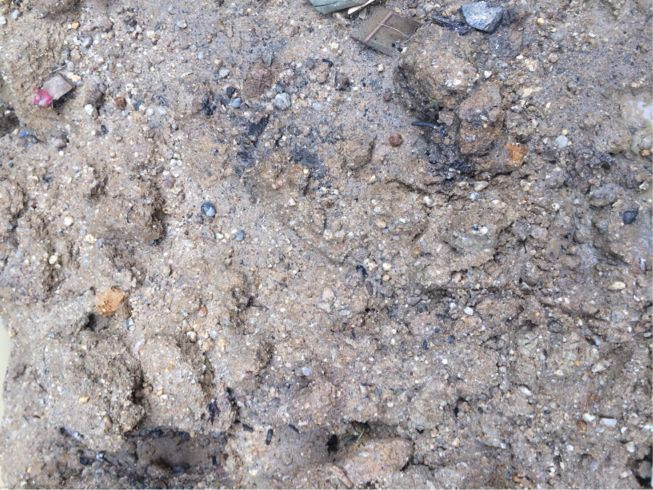 粘土質の土壌改良方法 我が家の 本気家庭菜園 実験場