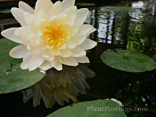 reflection3