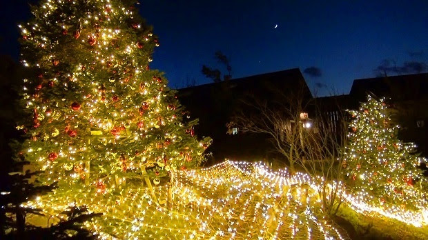 ｘｍａｓイルミネーション 六甲ガーデンテラス 神戸市 灘区 週末おでかけmap
