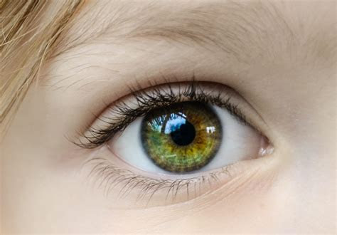 Predict your baby's eye color instantly by simply selecting mom's and dad's eye colors, and get your customized baby eye color chart. hazel color eyes pics frank and zoey