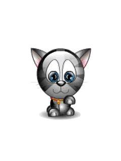 My Pets Is Cat