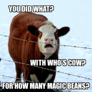 Funny Cattle Quotes. QuotesGram