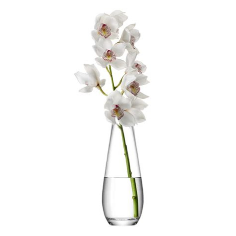 buy lsa international flower tall stem vase amara