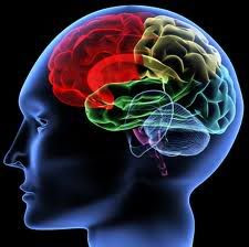 hypnotherapy photo: MindSight Hypnosis amp Hypnotherapy MindSightHypnosisHypnotherapy2.jpg