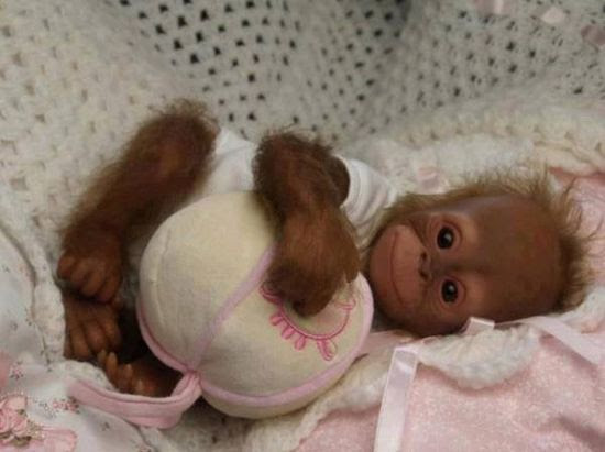 Very cute baby monkey