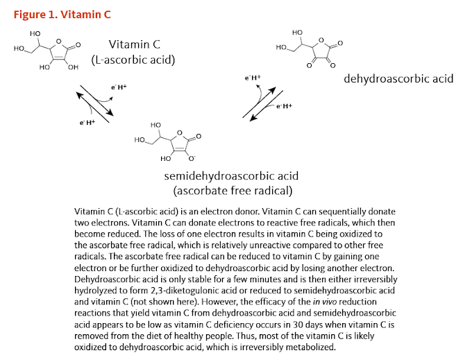 Vitamin C Daily Intake